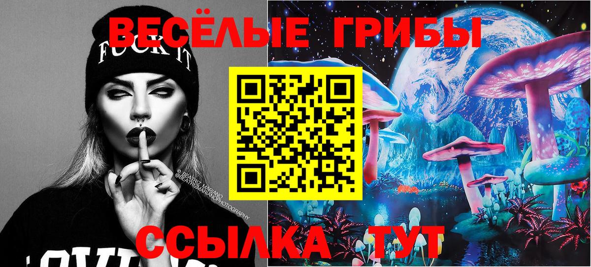 Псилоцибиновые грибы Psilocybe Киселёвск