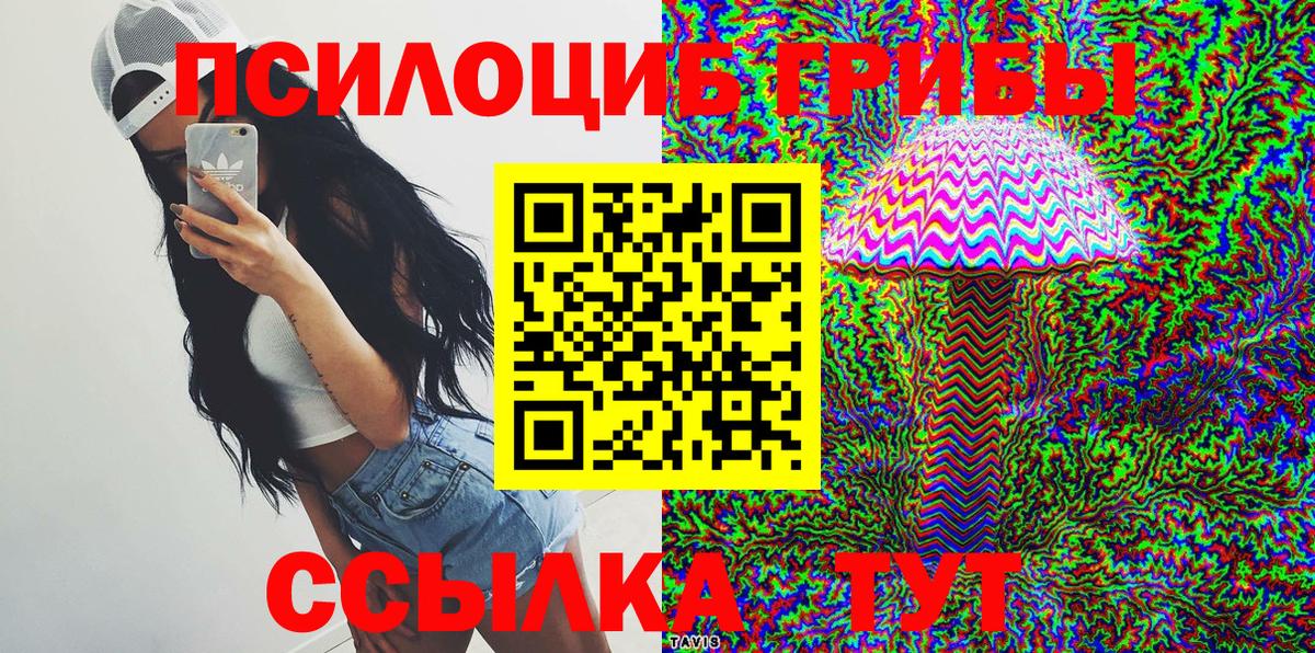 Киселёвск  Галлюциногенные грибы ЛСД  Вход с VPN 